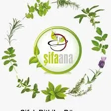 Şifa Ana