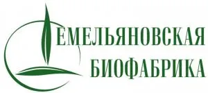 О самом главном