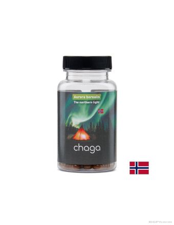 Чага екстракт 400 мг х 60 капсули БИОФОРМ | Bioform Chaga