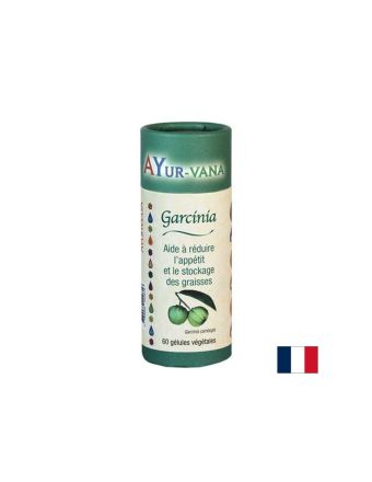 Гарциния камбоджа екстракт 300 мг х 60 капсули PHYTOMOINSCHER