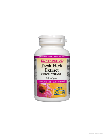 Ехинацея екстракт 250мг  х 90 капсули Natural Factors | Echinamide® Fresh Herb Extract