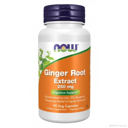Джинджифил екстракт 250 мг х 90 капсули Now Foods | Ginger Root