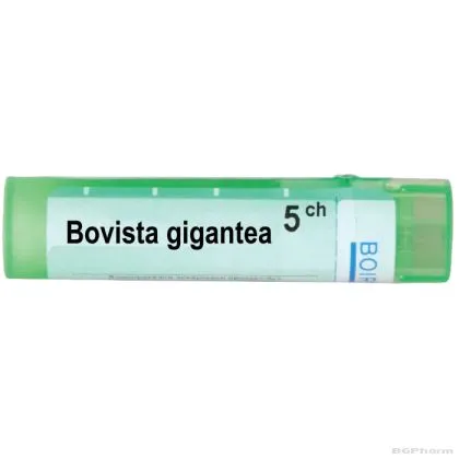 Бовиста гигантеа 5 CH Boiron | BOVISTA GIGANTEA
