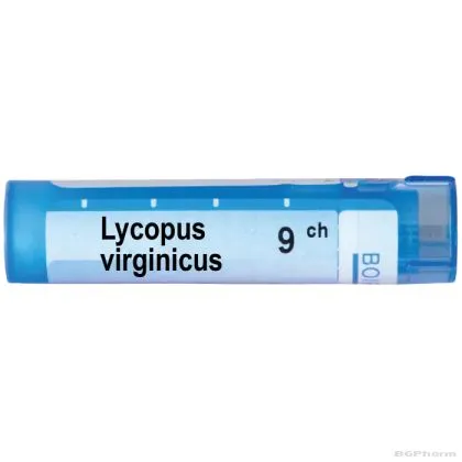 Ликопус еуропеус 9 CH Boiron | LYCOPUS EUROPAEUS