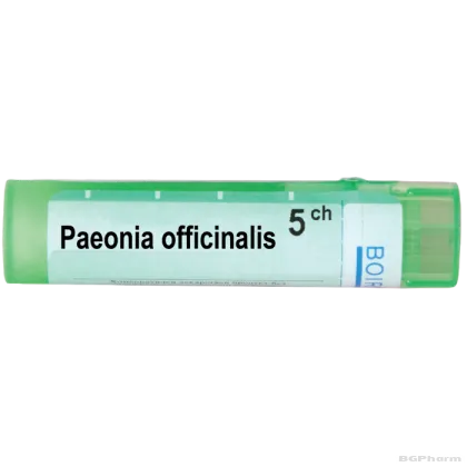 Пеония официналис 5 CH Boiron | PAEONIA OFFICINALIS