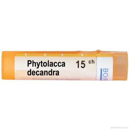 Фитолака декандра 15 CH Boiron | PHYTOLACCA DECANDRA