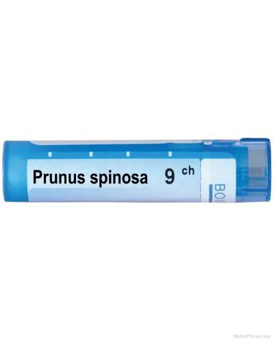 Прунус спиноза 9 CH Boiron | PRUNUS SPINOSA