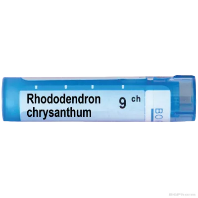Рододендрон хризантум 9 CH Boiron | RHODODENDRON CHRYSANTHUM