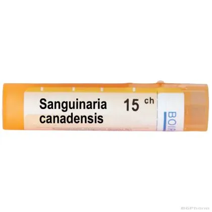 Сангвинариа канадензис 15 CH Boiron | SANGUINARIA CANADENSIS