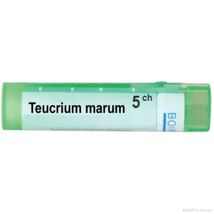 Теукриум марум 5 CH Boiron | TEUCRIUM MARUM