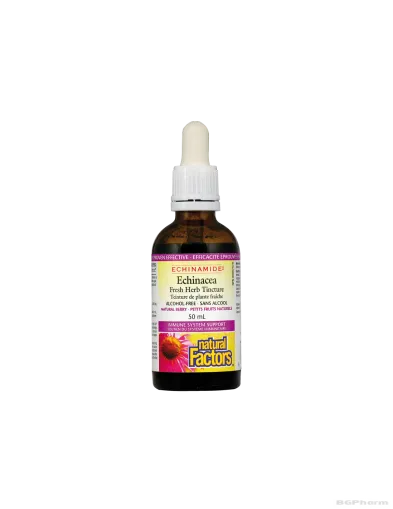 Echinamide® Тинктура ехинацея, 50 ml (При простуда и грип, без алкохол) Natural Factors