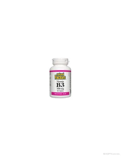 Витамин Б3 (никотинова киселина) 500мг х 90 таблетки Natural Factors | Vitamin B3