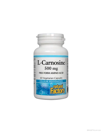 Л-Карнозин 500мг х 60 капсули Natural Factors | L-Carnosine
