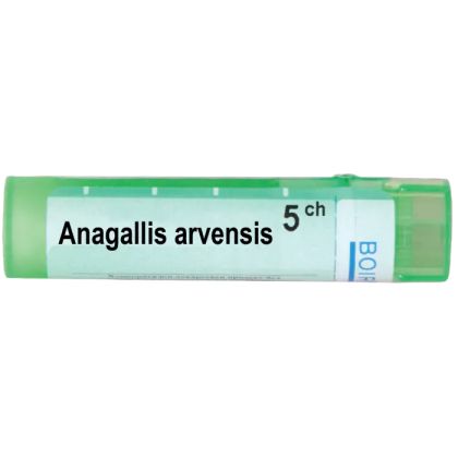 Анагалис арвензис 5 CH Boiron | ANAGALLIS ARVENSIS