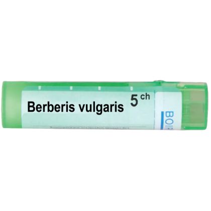 Берберис вулгарис 5 CH Boiron | BERBERIS VULGARIS