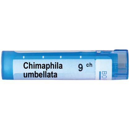 Химафила умбелата 9 CH Boiron | CHIMAPHILA UMBELLATA