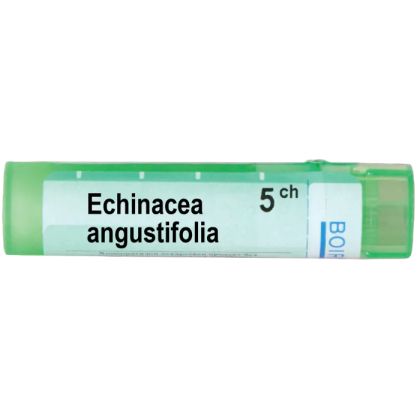 Ехинацея ангустифолия 5 CH Boiron | ECHINACEA ANGUSTIFOLIA