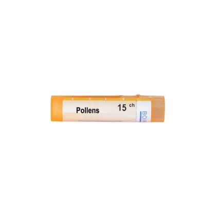 Поленс 15 CH Boiron | POLLENS ( POLLANTINUM )