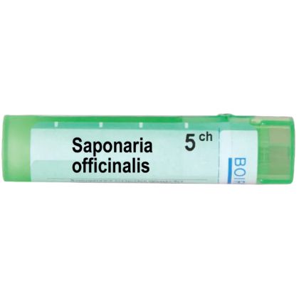 Сапонариа официналис 5 CH Boiron | SAPONARIA OFFICINALIS