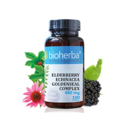 Бъз, ехинацея и хидрастис КОМПЛЕКС х 100 капсули БИОХЕРБА | BIOHERBA Elderberry, Echinacea & Hydrastis