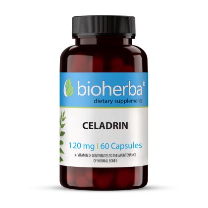 Целадрин 120 мг х 60 капсули БИОХЕРБА | BIOHERBA Celadrin