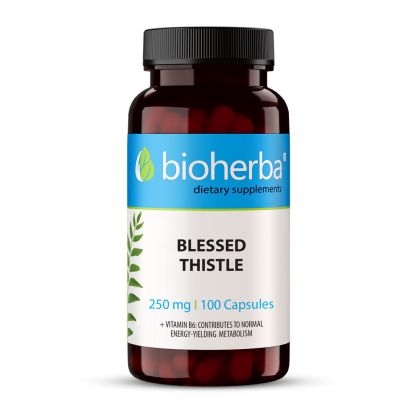 Благословен трън ( Пресечка ) 250 мг х 100 капсули БИОХЕРБА | BIOHERBA Blessed Thistle