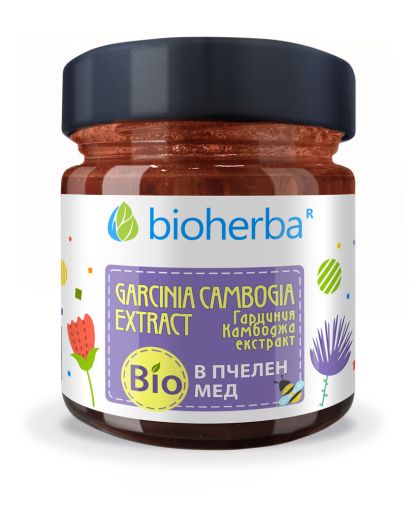 Пчелен мед БИО + Гарциния камбоджа х 280 гр БИОХЕРБА | ORGANIC BEE HONEY BIOHERBA