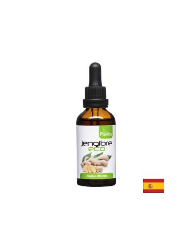 Джинджифил тинктура БИО х 50 мл Artesania Agricola | Ginger