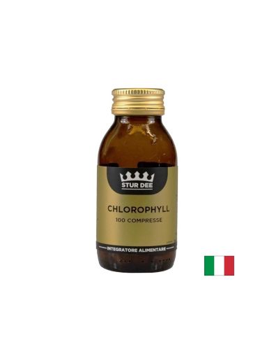 Хлорофил ( Хлорофилин + люцерна ) х 100 таблетки AESSERE | Chlorophyll