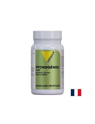Пикногенол 50 мг х 30 капсули VIT'ALL | Pynogenol