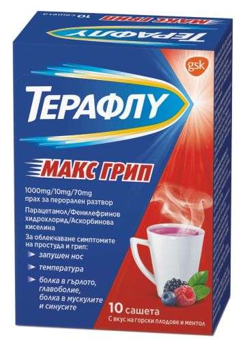 ТЕРАФЛУ МАКС ГРИП 1000мг х 10 сашета (грип и настинка, горски плодове) GLAXO