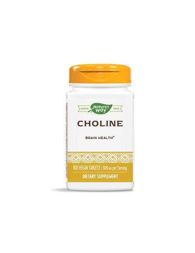 Холин 500 мг х 100 таблетки Nature’s Way | Choline