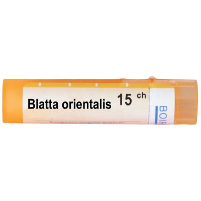 Блата ориенталис 15 CH Boiron | BLATTA ORIENTALIS