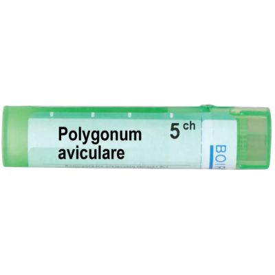 Полигонум авикуларе 5 CH Boiron | POLYGONUM AVICULARE