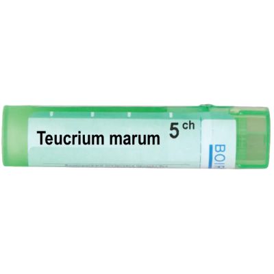 Теукриум марум 5 CH Boiron | TEUCRIUM MARUM