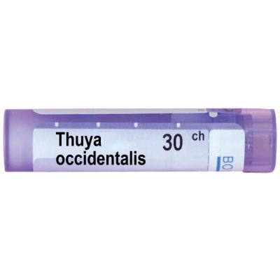 Туя оксиденталис 30 CH Boiron | THUYA OCCIDENTALIS