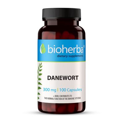 Бъзак - Плод от бъз 300 мг х 100 капсули БИОХЕРБА | BIOHERBA Danewort