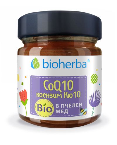 Пчелен мед БИО + Коензим Q10 х 280 гр БИОХЕРБА | ORGANIC BEE HONEY BIOHERBA