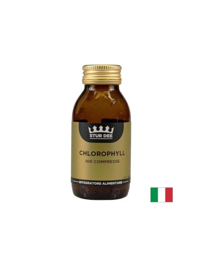 Хлорофил ( Хлорофилин + люцерна ) х 100 таблетки AESSERE | Chlorophyll